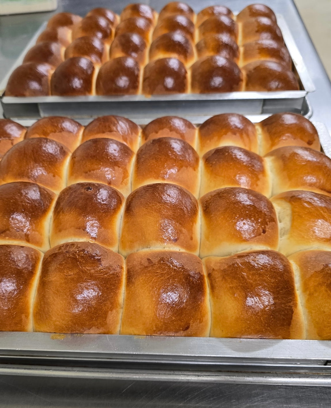 Dinner Rolls