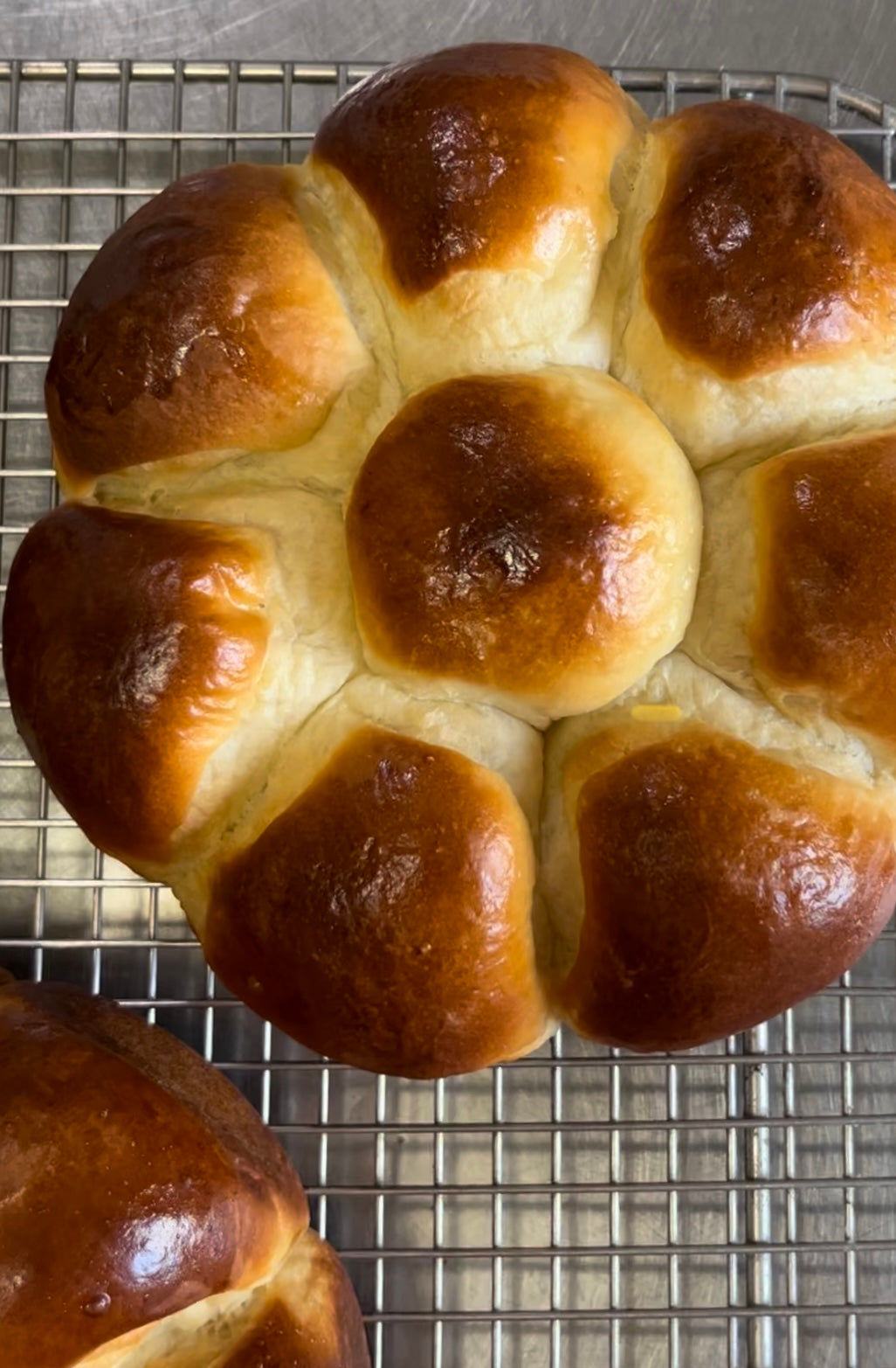 Dinner Rolls