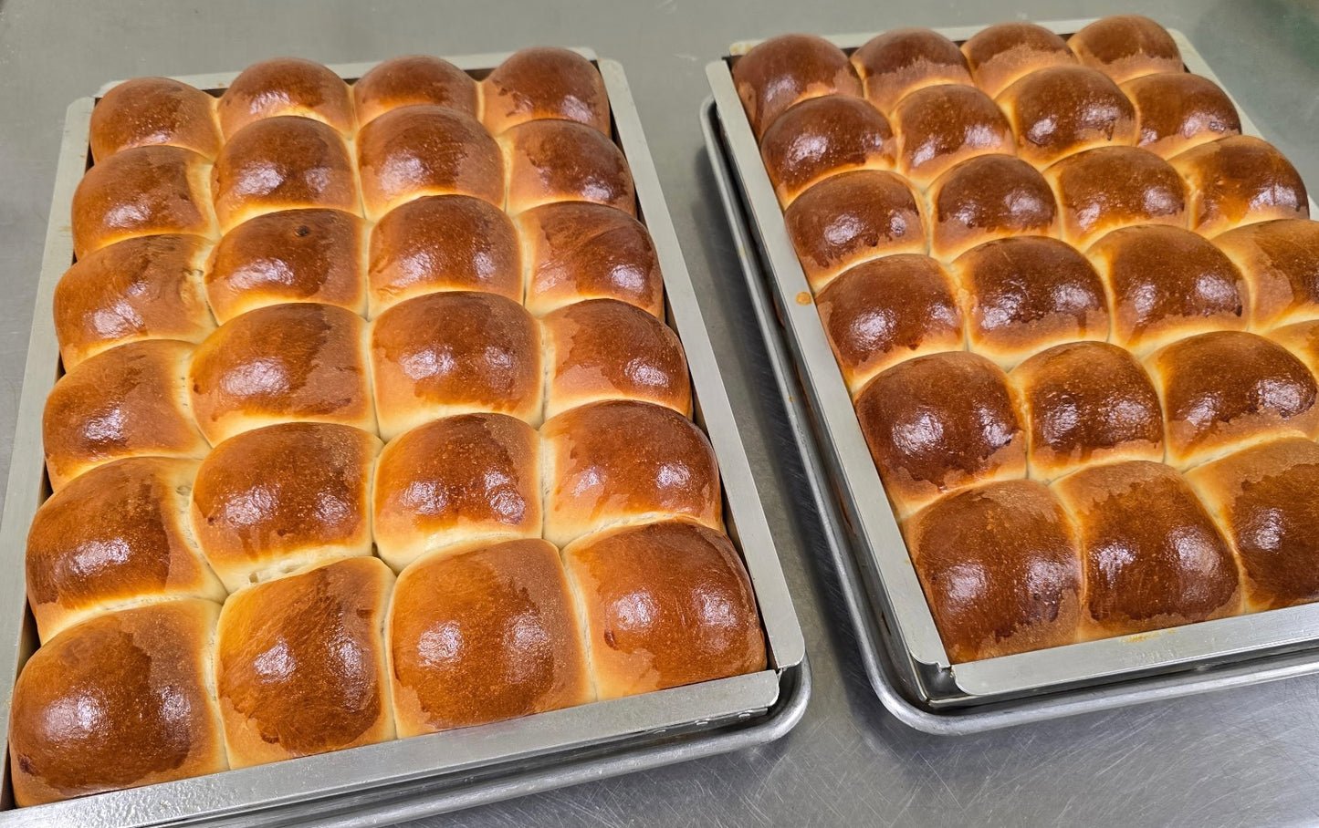 Dinner Rolls