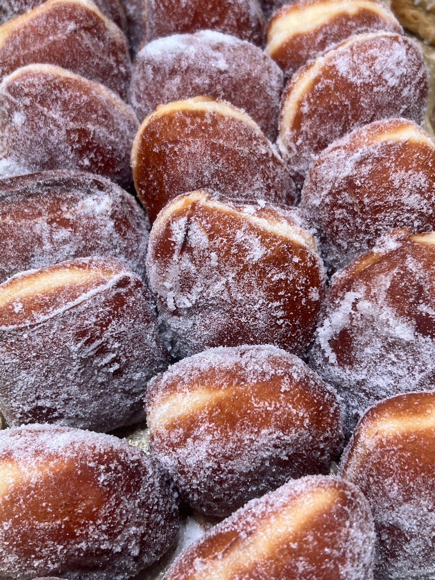 Dozen Plain Malasadas